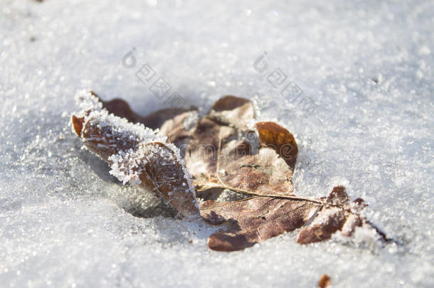 雪中送炭