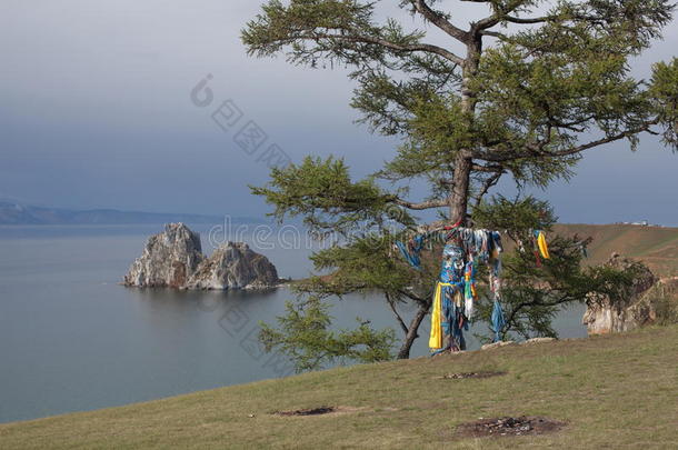 萨满树与萨满岛奥尔孔山