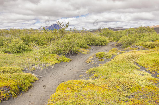 米瓦顿地区的徒步旅行路线-冰岛。
