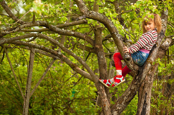 坐在树上摆姿势的小女孩