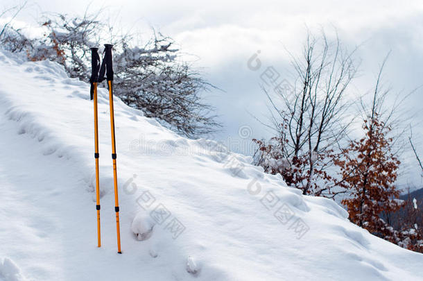 雪地里的<strong>登山杖</strong>