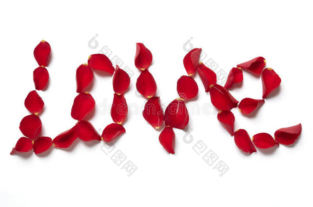 红色玫瑰花瓣拼出爱这个词