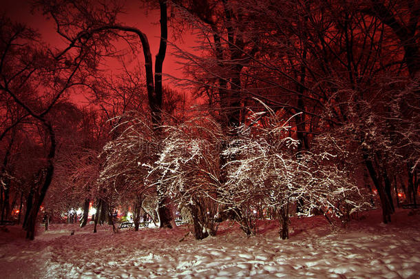雪夜冬季公园