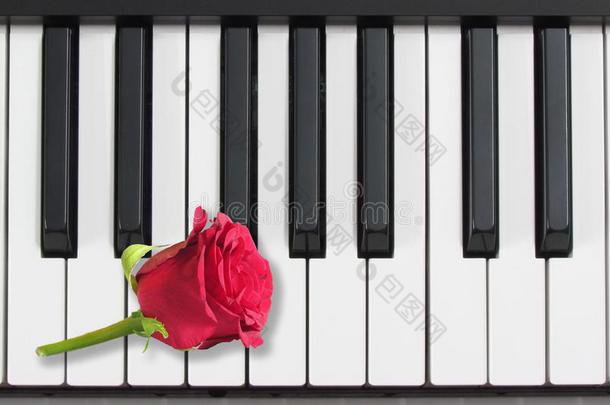 钢琴键和红玫瑰，<strong>浪漫音乐</strong>