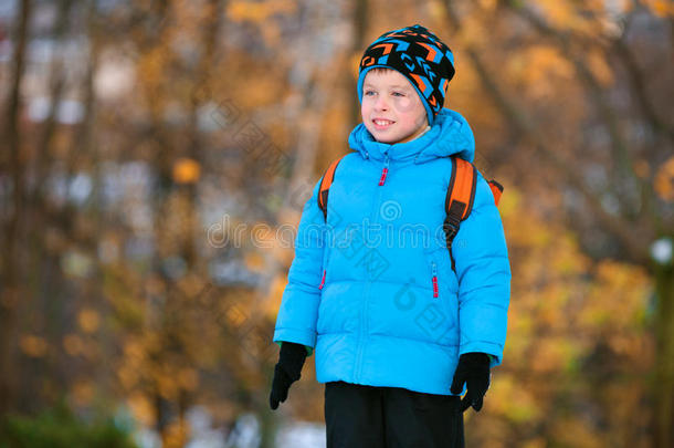 可爱的小男孩在秋天的公园里玩耍