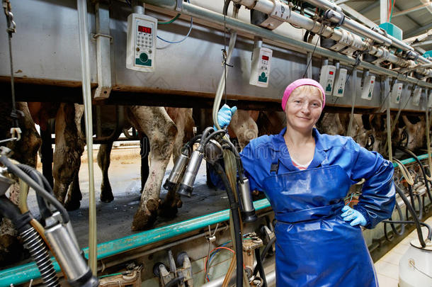 挤奶系统农场的奶场女工