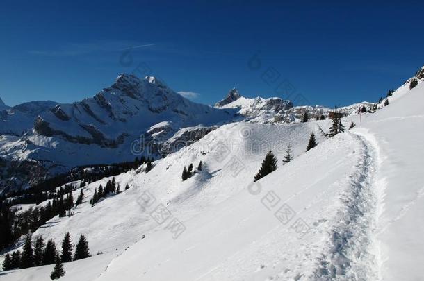 雪山脚下的小路