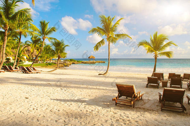 日落<strong>梦幻</strong>海滩，沙滩上有棕榈<strong>树</strong>。热带天堂。多米尼加共和国、塞舌尔、加勒比、毛里求斯。酿造的
