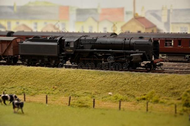 带泽西奶牛的火车蒸汽机和煤<strong>车模</strong>型