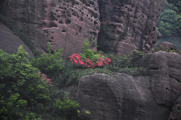 桂峰山