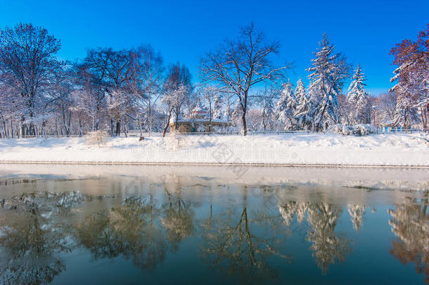 公园里<strong>雪景</strong>清新，<strong>树木</strong>茂盛