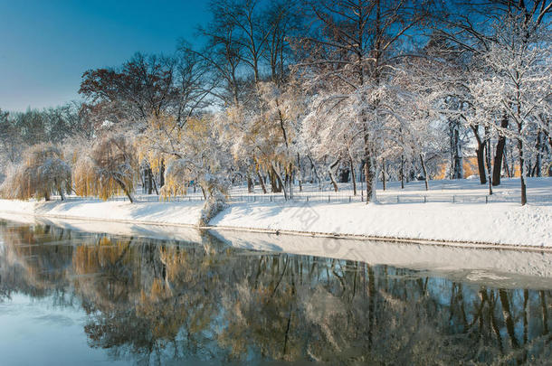 公园里雪景清新，树木茂盛