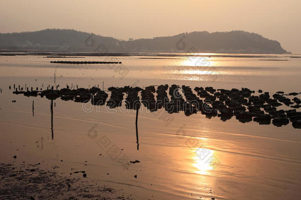 昂寺拉地区阳光反射牡蛎养殖场