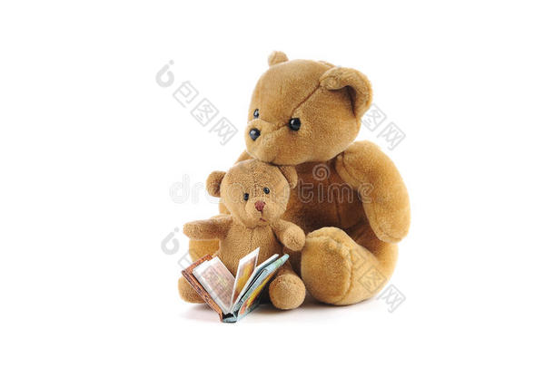 泰迪熊和一本故事书