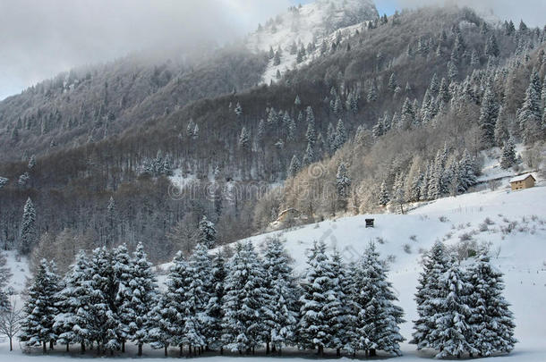 冬季白云石和阿尔卑斯山的山峰