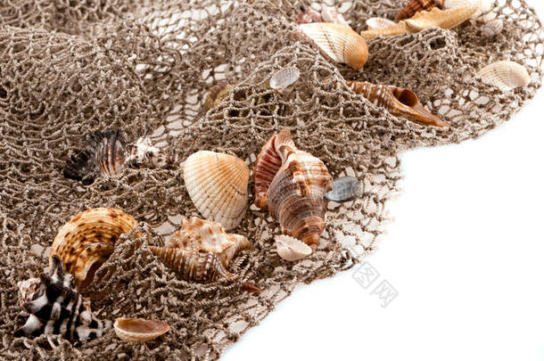 渔网中的海贝和海星
