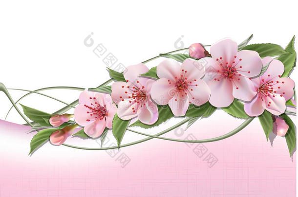 春天背景粉色樱花