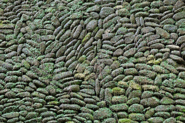 青苔植物背景的老石墙