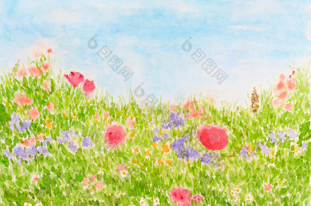 日光草地上的夏日花朵，水彩手绘
