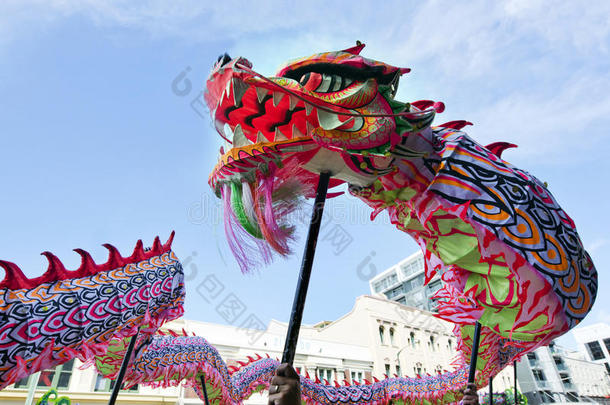 惠灵顿中国新年蛇