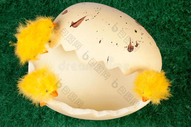 破蛋壳上的复活节小鸡