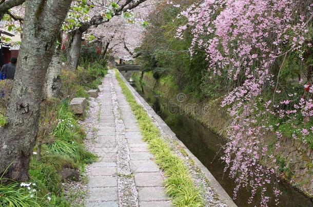 京都