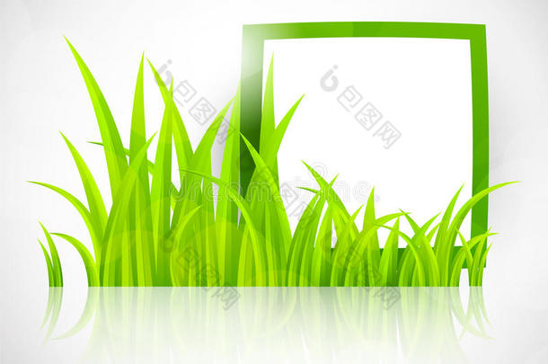 草木绿框