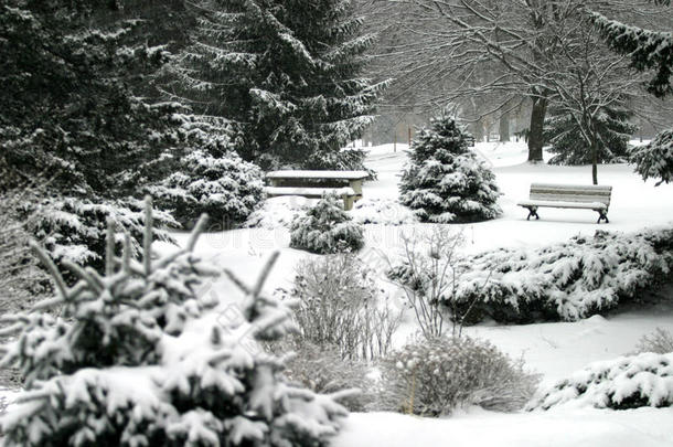 雪景