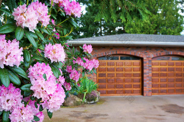 粉红色杜鹃花，灌木，带<strong>双层</strong>木质车库门。