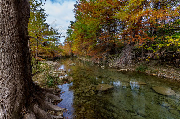 德克萨斯州清澈的秋色溪流。