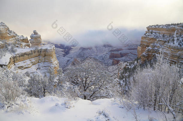 大峡谷冬季景观