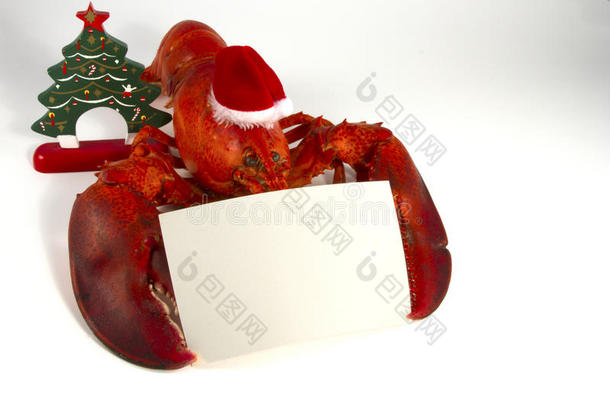 圣诞龙虾<strong>配菜</strong>单