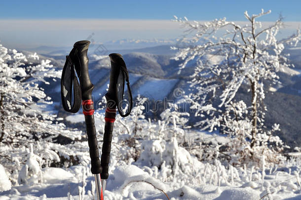 雪地里的登山杖