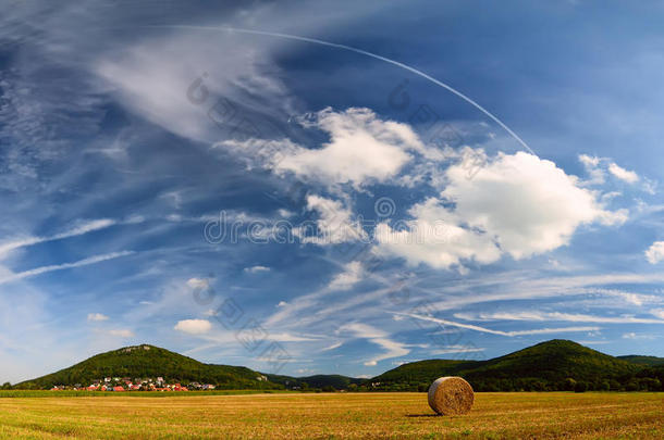 丰收地夏季景观