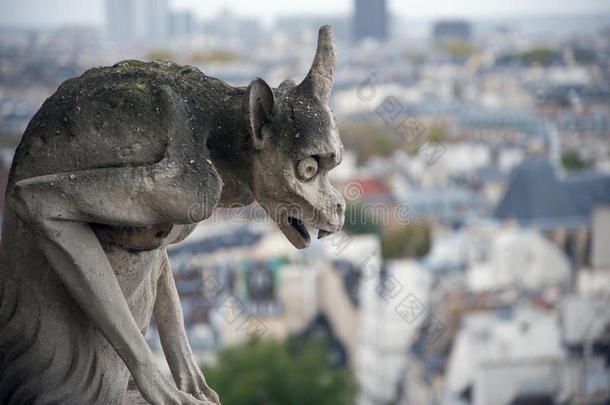 从圣母院俯瞰巴黎的石像石像