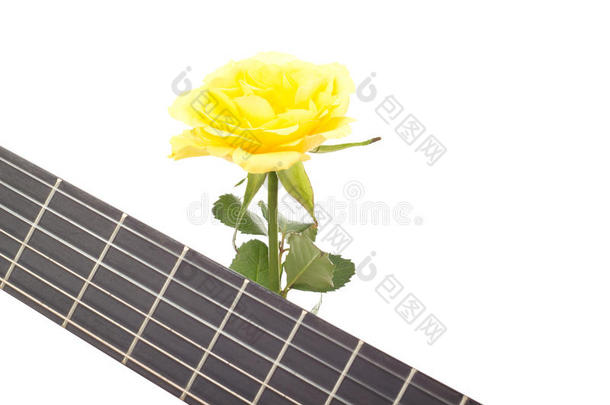 带吉他的美丽玫瑰