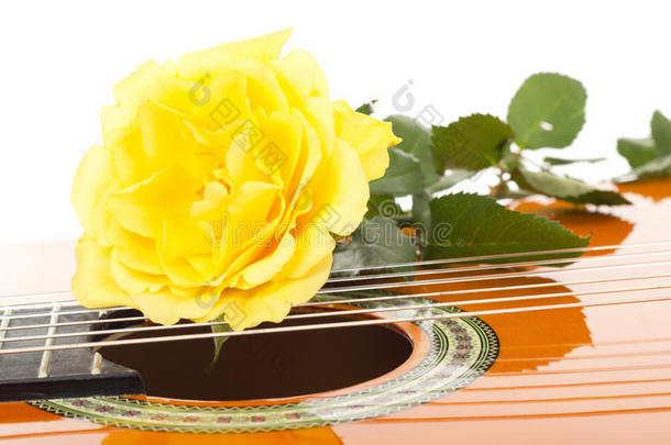 吉他上美丽的玫瑰