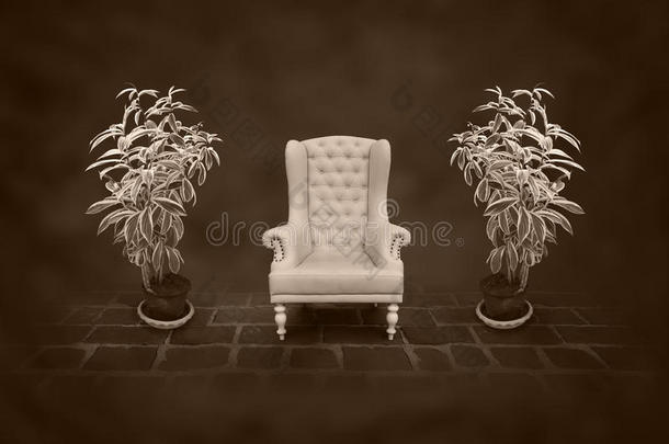 黑屋子里的古董椅子