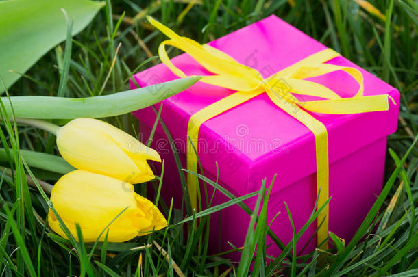 <strong>粉色礼品盒</strong>和黄色郁金香