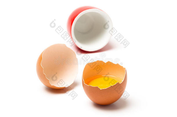 褐色卵
