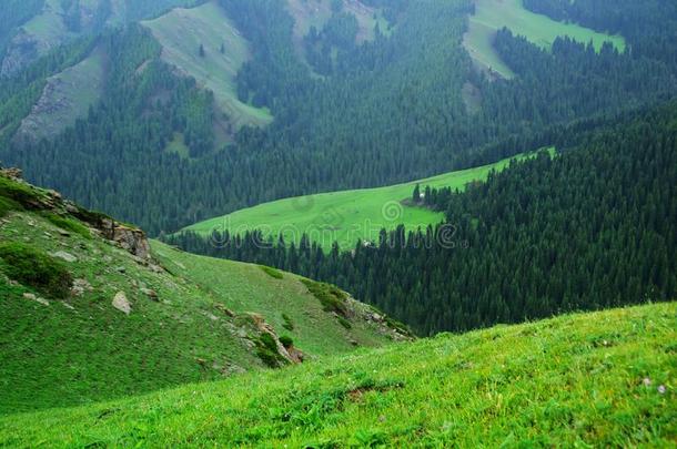 阿尔卑斯山瓷器绿色山牧场