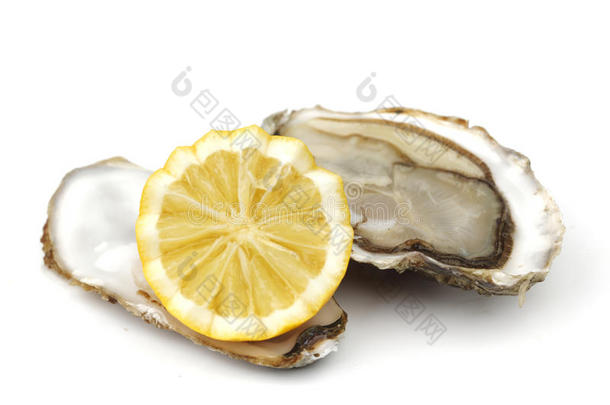 白牡蛎柠檬