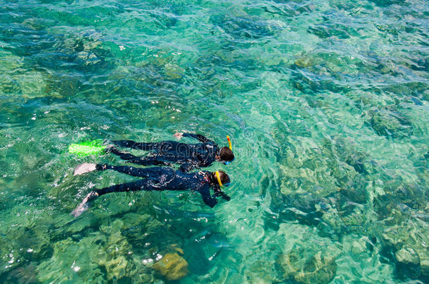 浮潜者，大堡礁，澳大利亚