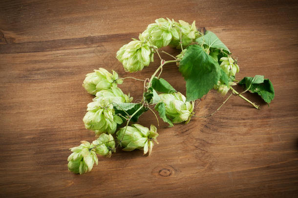 木桌上的新鲜绿啤酒花木桌上的新鲜绿啤酒花