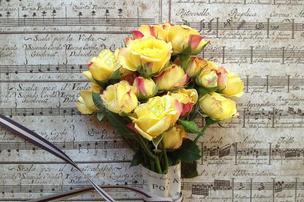 旧音乐背景下的黄玫瑰