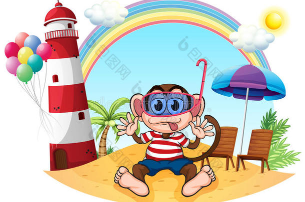 海滩上戴着护目镜的猴子
