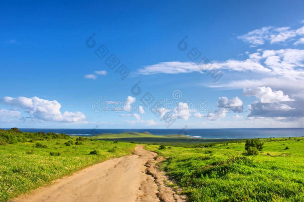 穿过海边花丛的路