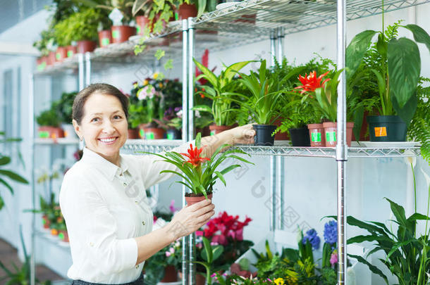 花店仙客来花店