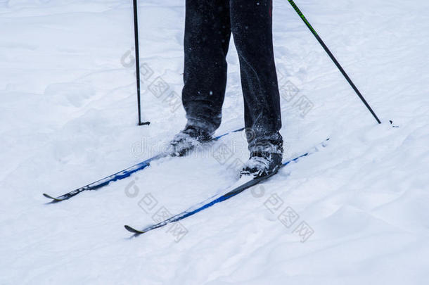 在深冬的雪中滑雪者的腿