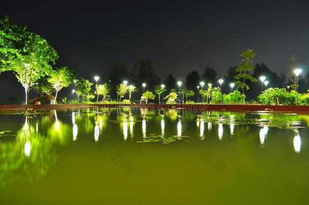 夜晚被树包围的池塘